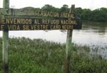 Cano Negro Wildlife Refuge